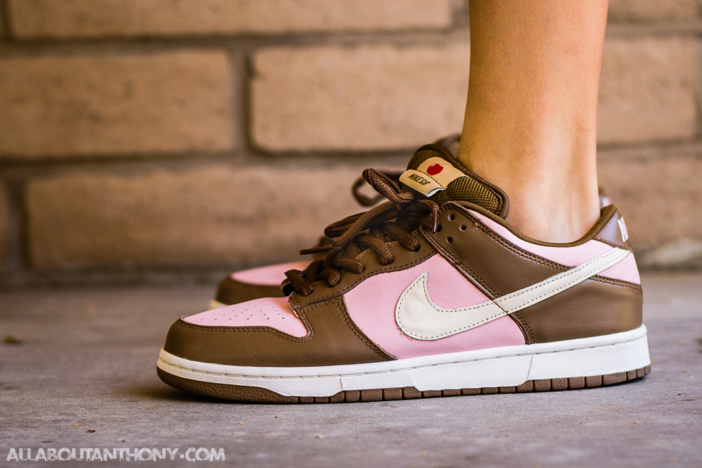 stussy nike sb dunk