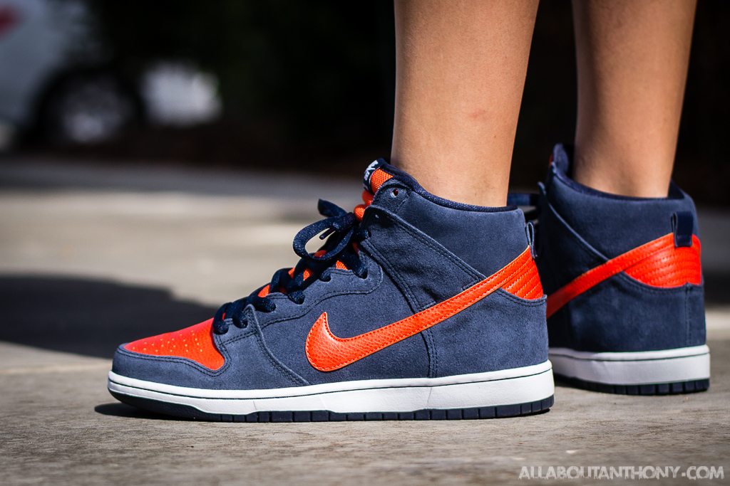 Nike sb dunk low pro blue