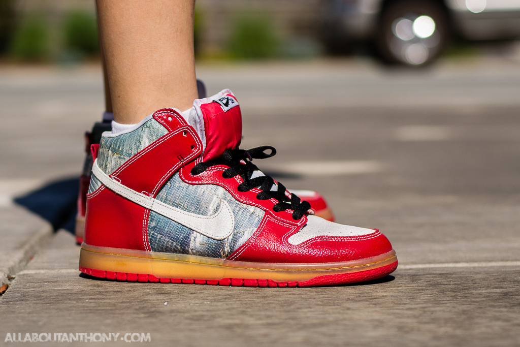 nike dunk sb shoes