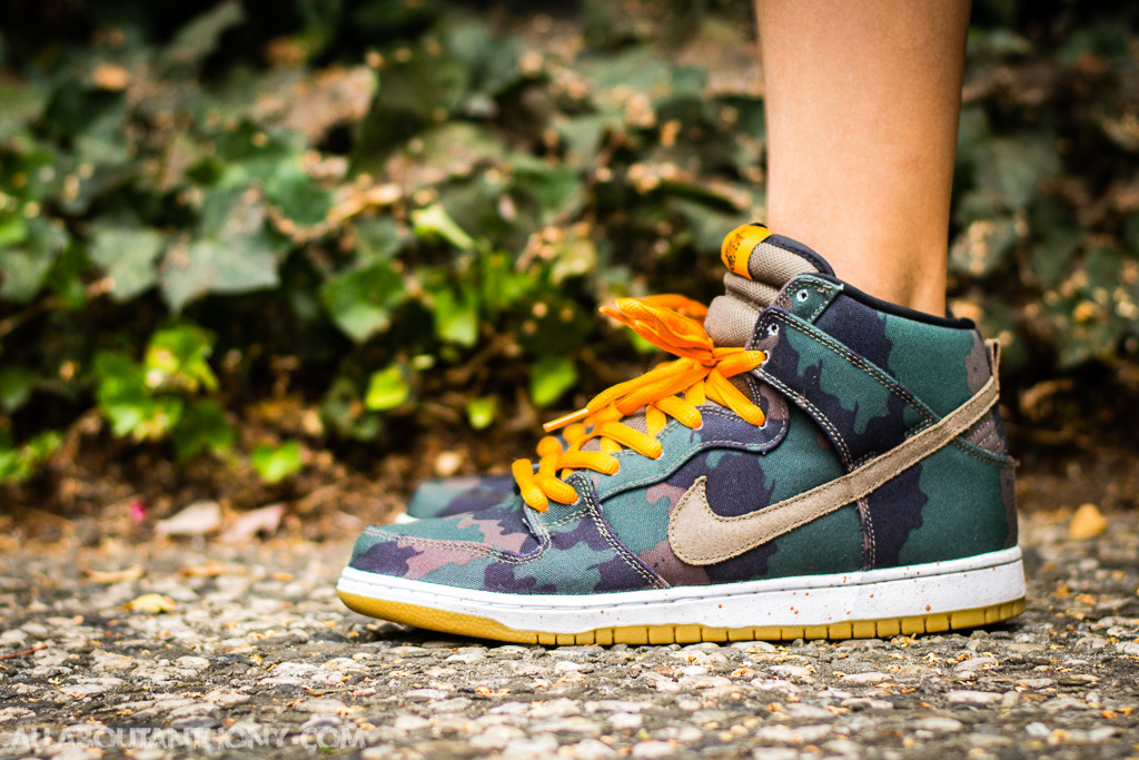 Nike Dunk High SB fiveoneo WDYWT