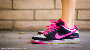 Nike Dunk Low SB Disposable