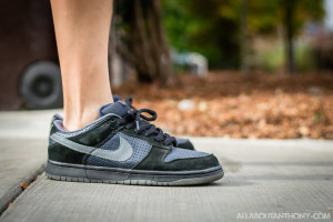 Nike Dunk Low SB Gino