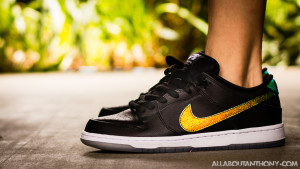 Nike Dunk Low SB Sparkle AKA Motorcycle Helmet