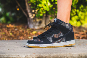 Nike SB Dunk High Fern