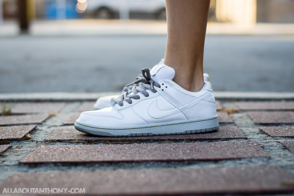 Nike Dunk Low Premium SB Medicom 4 Review