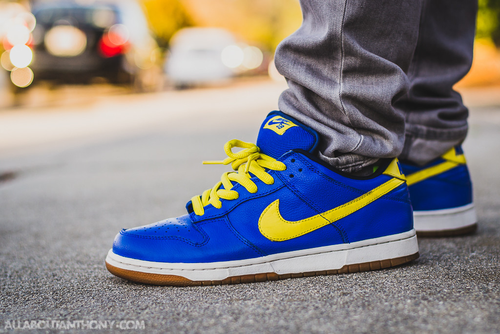 Nike Dunk Low SB Boca Review