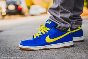 Nike Dunk Low SB Boca