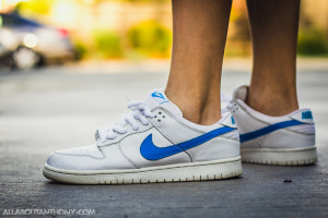 Nike Dunk Low SB Mulder