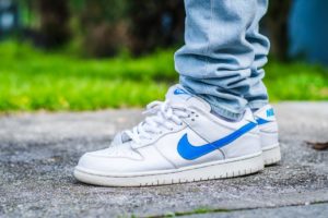 Nike Dunk Low SB Mulder WDYWT