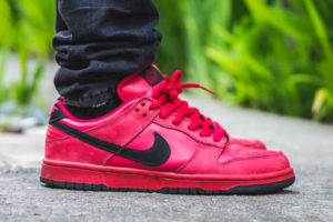 Nike Dunk Low SB True Red wdywt