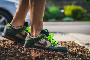 Nike Dunk SB Low Jedi On Feet