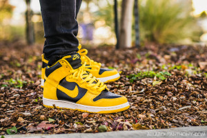 Nike Dunk High SB Iowa