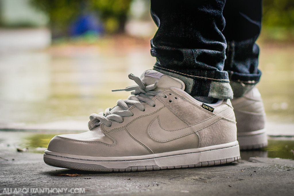 Nike Dunk Low SB Goretex Review