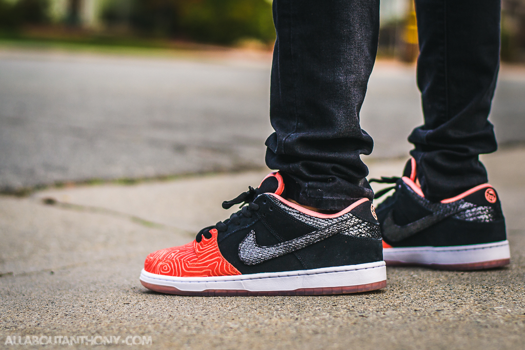 Nike Dunk Low SB Fish Ladder On Feet 