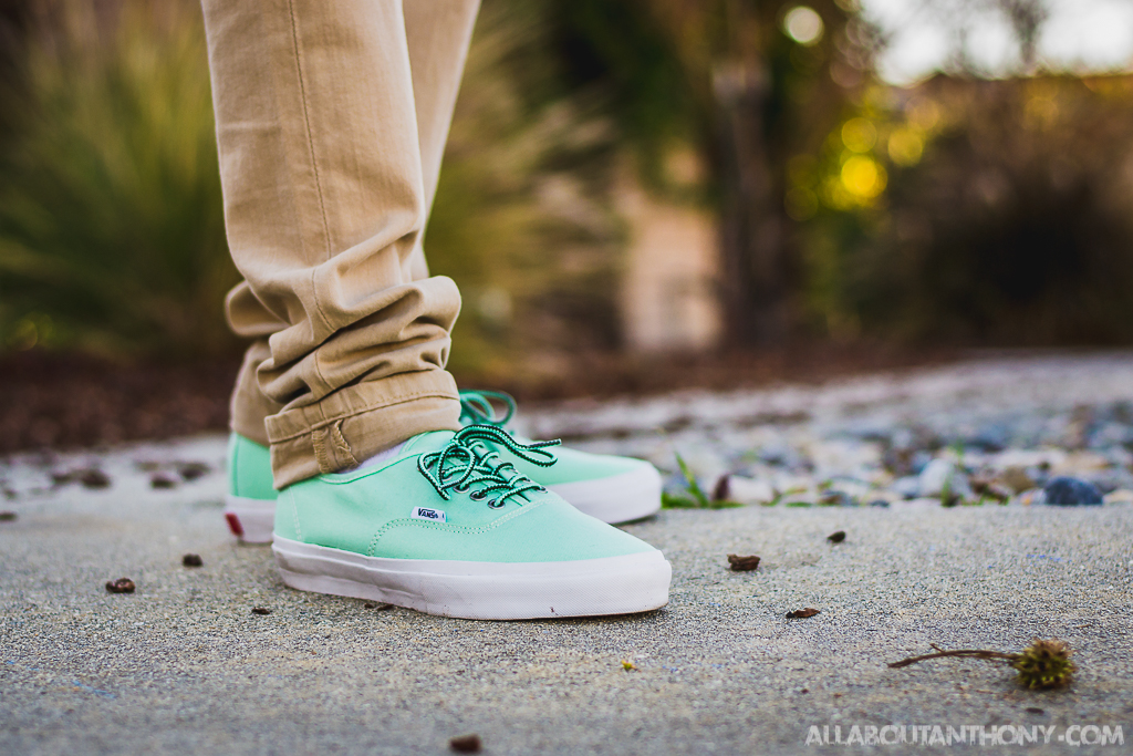 vans authentic true white on feet