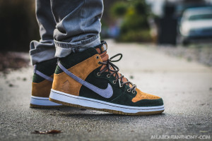 Nike Dunk High SB Homegrown