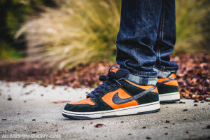 Nike Dunk Low SB Flash-2