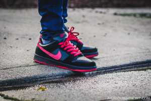 Nike Dunk Low SB Vamp