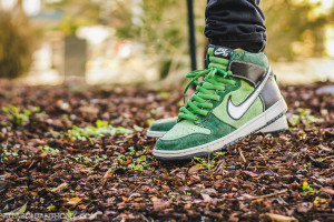 Nike SB Dunk High Brut