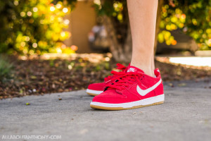 Nike Dunk Low Pro IW University Red