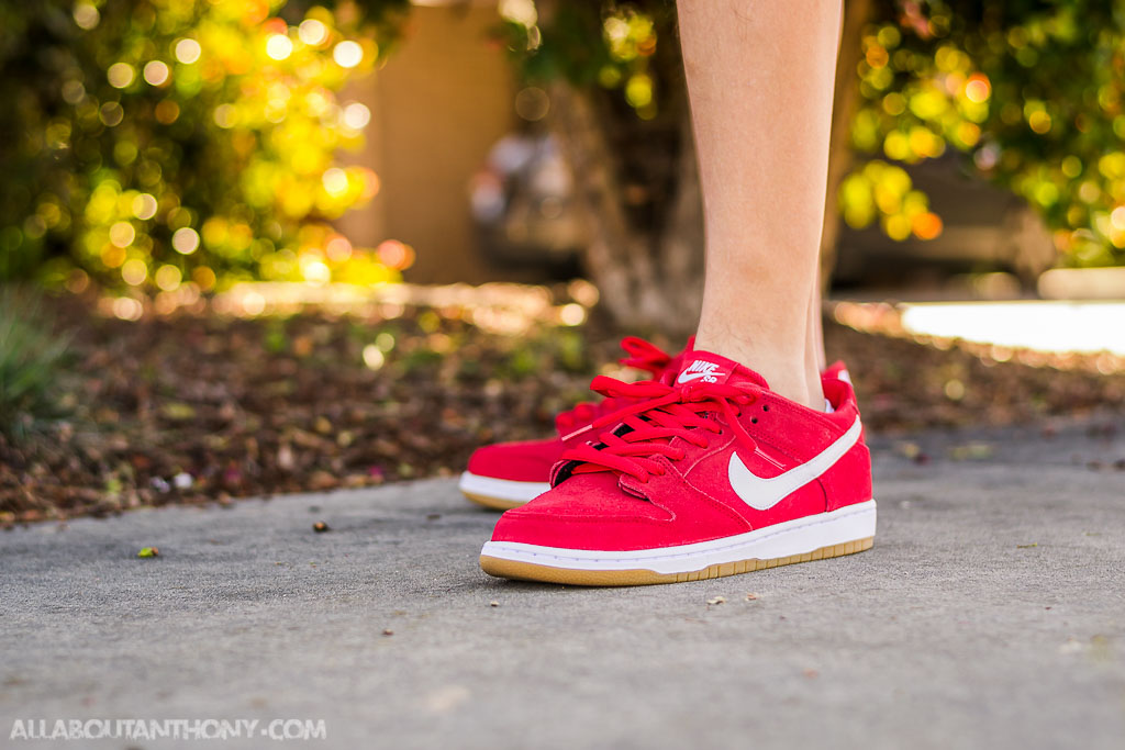 dunk low university red on feet