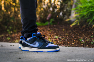 Nike Dunk Low SB J-Pack