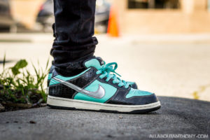 Dunk Low On Foot Sneaker Review