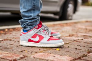 1999 Nike Dunk Low Reverse Ultraman