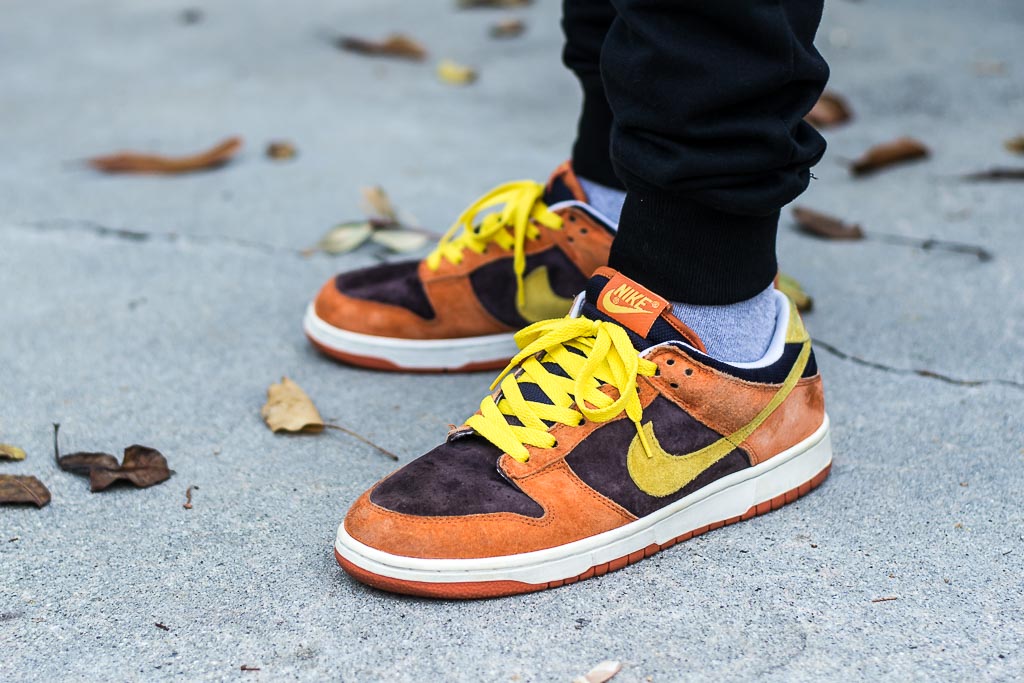 nike dunk ugly duckling