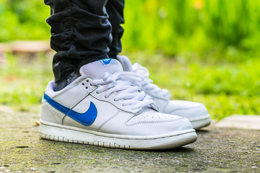 nike sb dunk low mulder