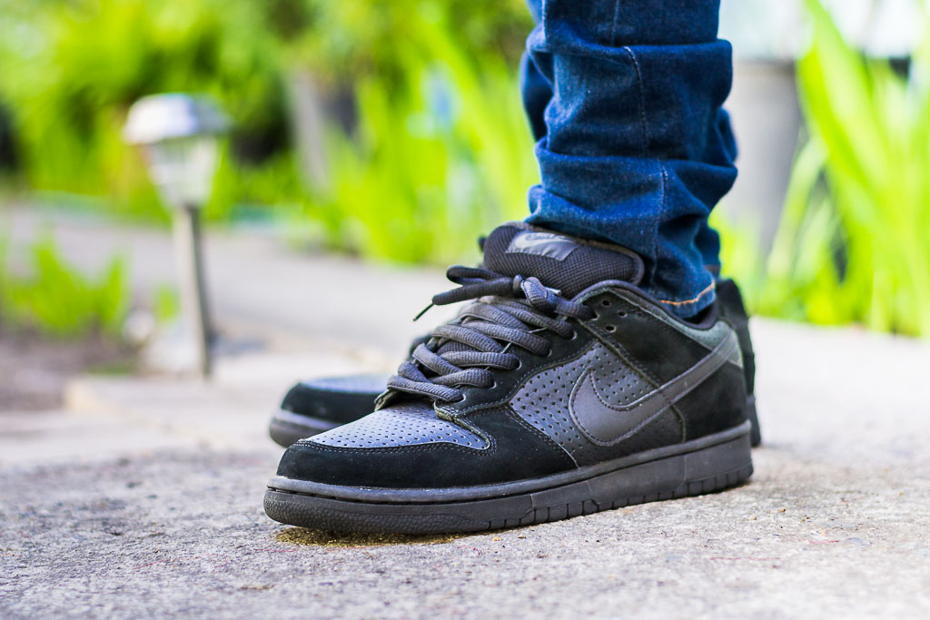 Nike Dunk Low Gino 2 On Sneaker Review - SB