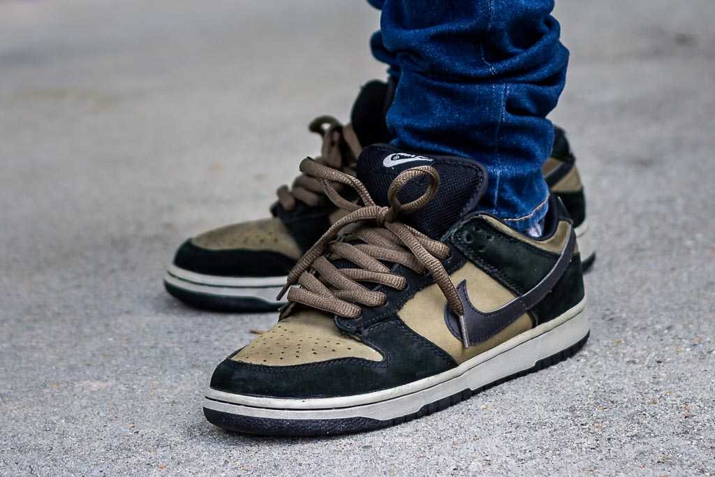 Nike Dunk Low SB Loden On Feet Sneaker 