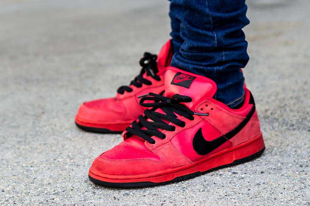 Nike Dunk Low SB True Red On Feet 