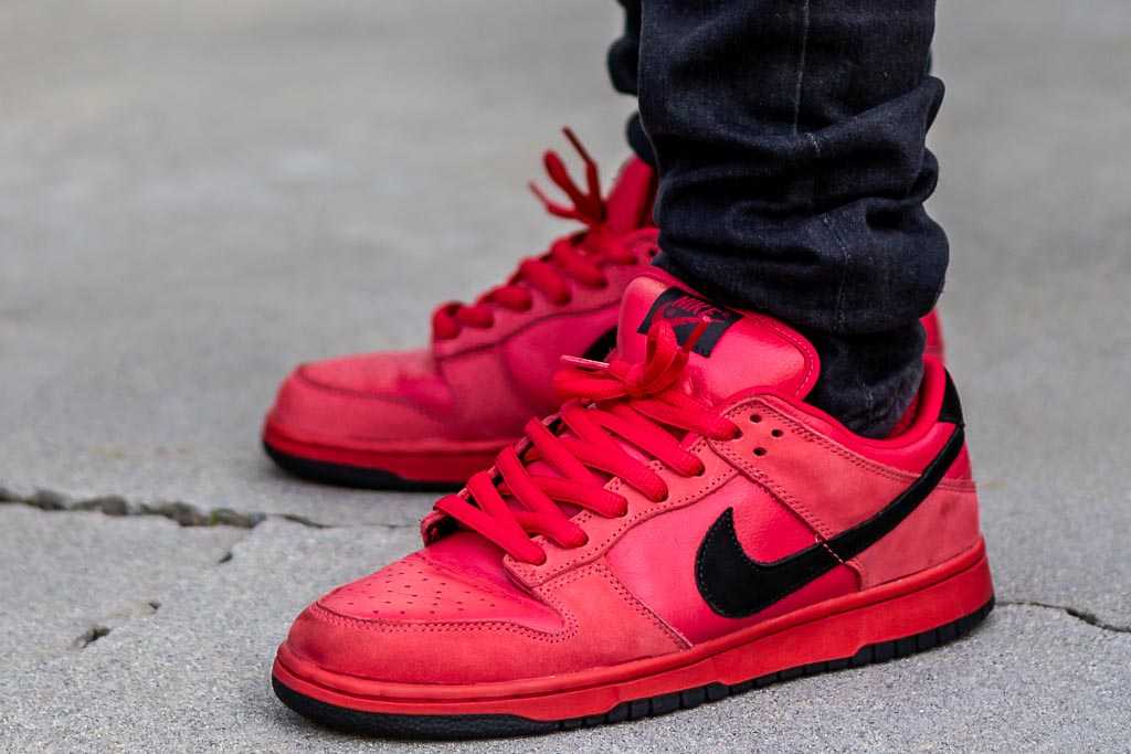 Nike Dunk Low SB True Red On Feet 