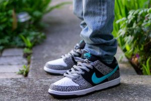 Nike SB Dunk Low Atmos Elephant On Feet 