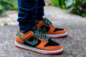 Nike Dunk Low SP Ceramic WDYWT On Feet