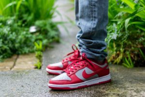 Nike Dunk Low UNLV 2021 WDYWT On Feet