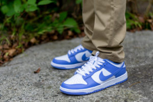 Nike Dunk Low Polar Blue On Feet