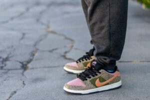 Nike SB Dunk Low Arts-Rec WDYWT On Feet